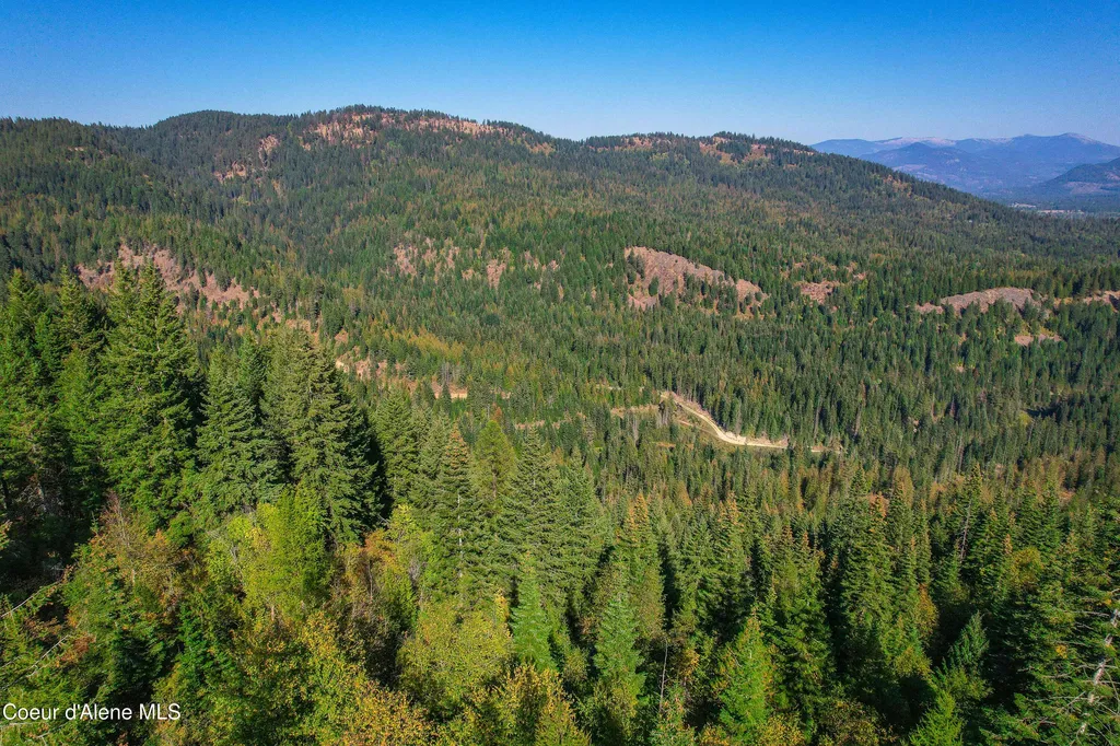 Nna Bodie Canyon Road Priest River ID 83856