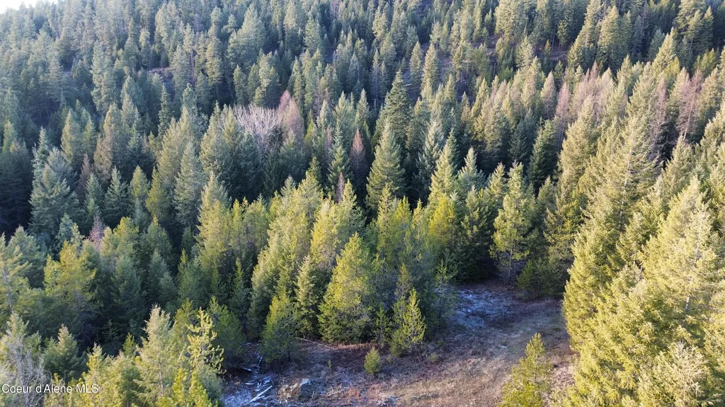 L7 B1 Kelso Woods Drive Athol ID 83801