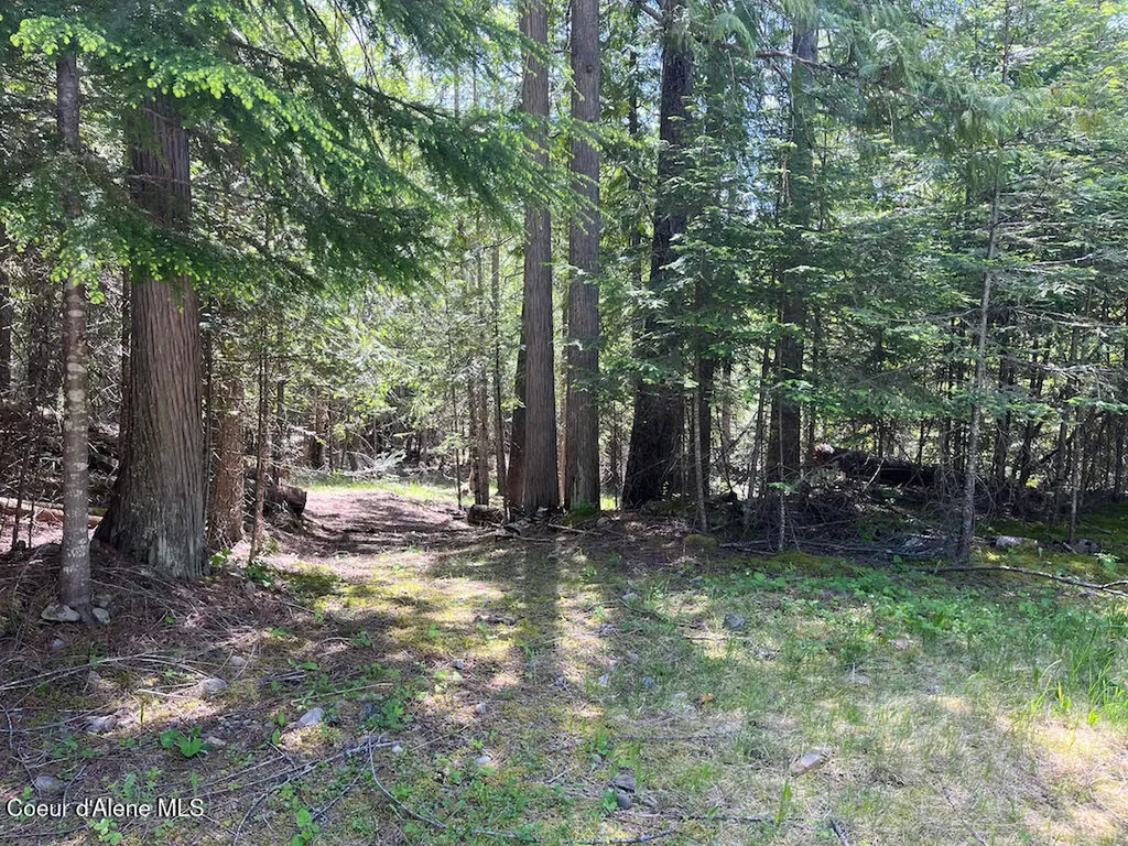 191 Sunset View Lane Hope ID 83836