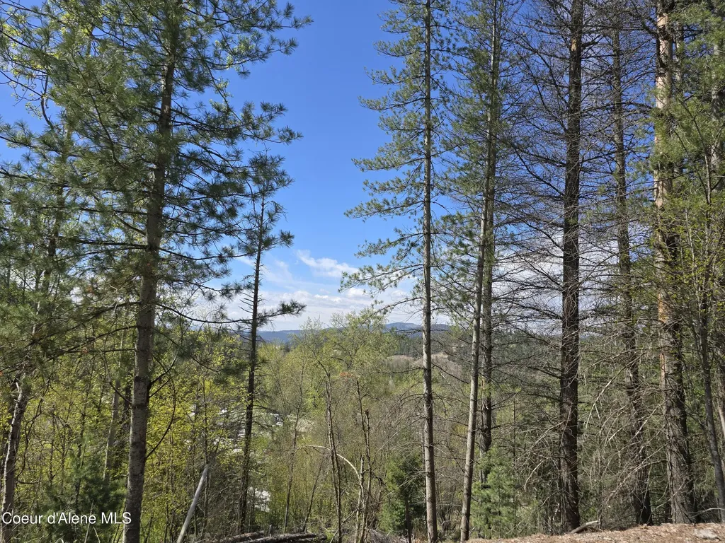 821 Lower Page Road Smelterville ID 83868