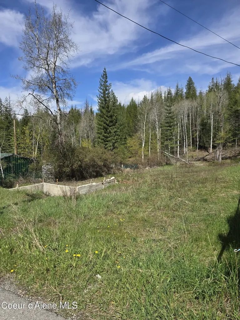 821 Lower Page Road Smelterville ID 83868