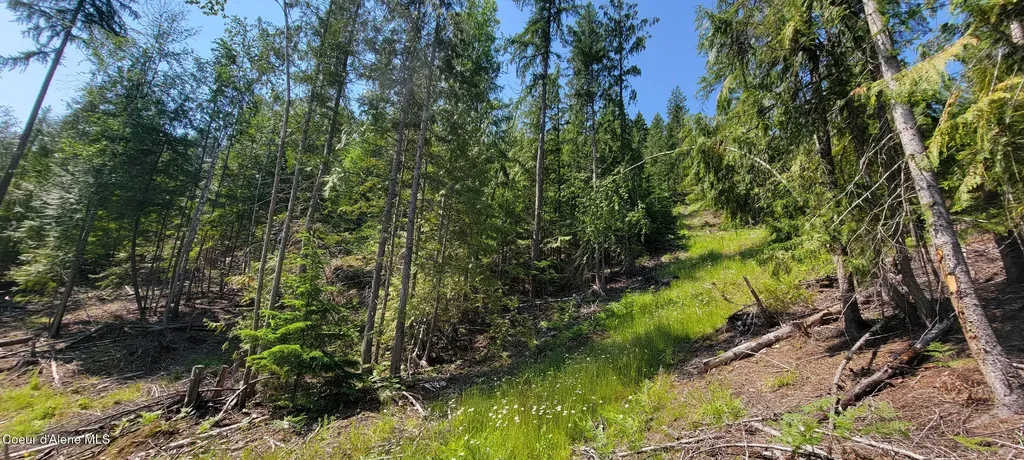 Nna Enchanted Lane #3 Bonners Ferry ID 83805