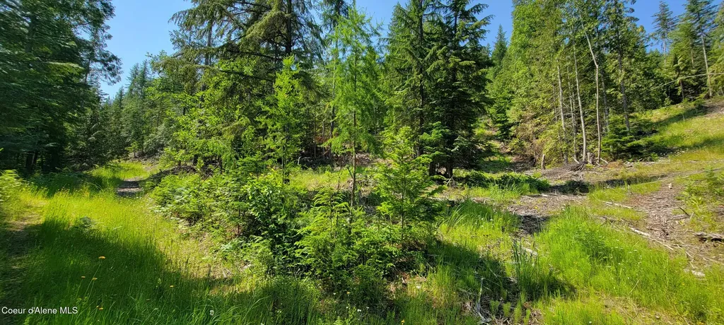 Nna Enchanted Lane #3 Bonners Ferry ID 83805