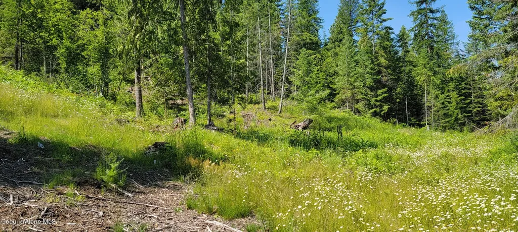 Nna Enchanted Lane #3 Bonners Ferry ID 83805