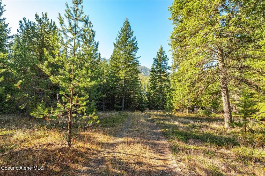 Nna N Moyie River Road Lot 2 And 3 Bonners Ferry ID 83805