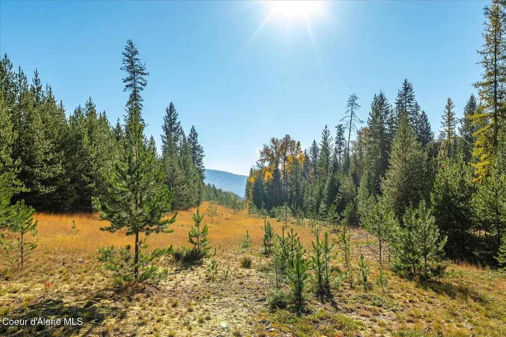 Nna N Moyie River Road Lot 2 Bonners Ferry ID 83805