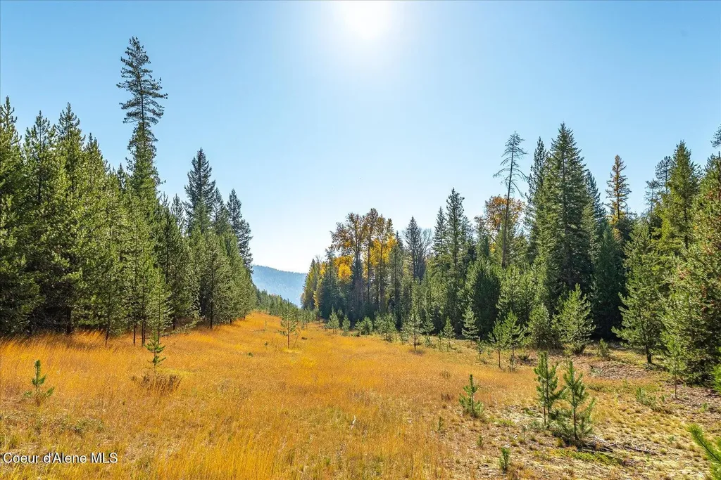 Nna N Moyie River Road Lot 2 Bonners Ferry ID 83805
