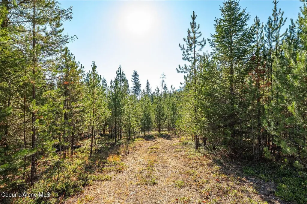 Nna N Moyie River Road Lot 2 Bonners Ferry ID 83805