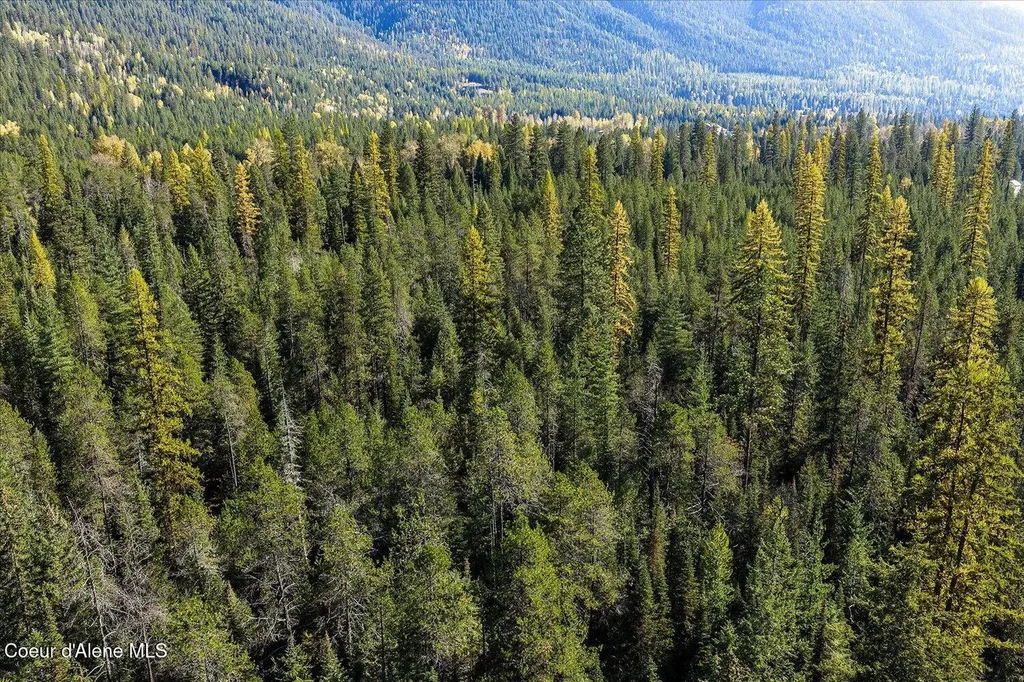 Nna N Moyie River Road Lot 2 Bonners Ferry ID 83805