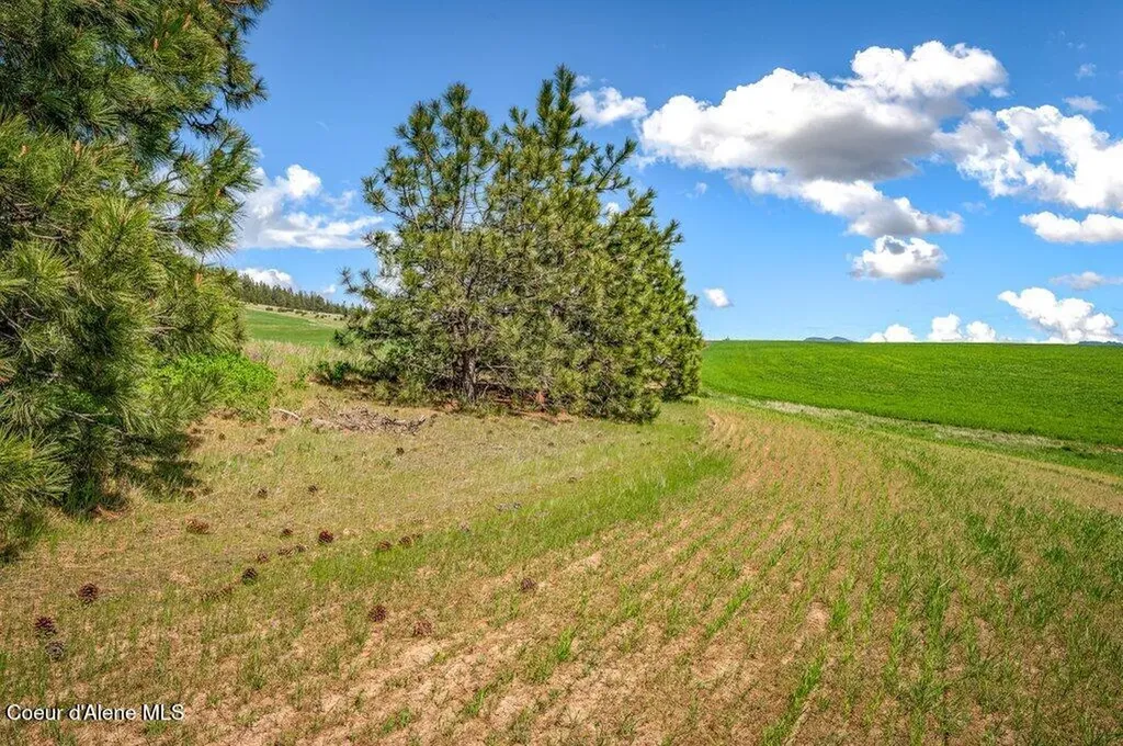 Nka W Rolling Hills Road Worley ID 83876