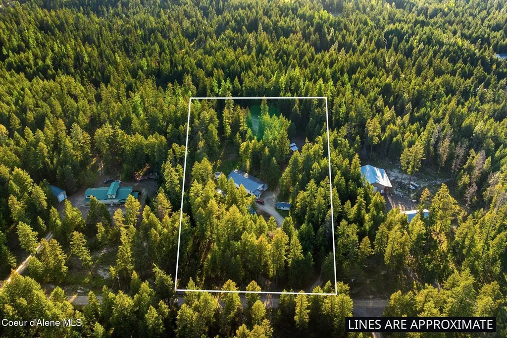 883 Mountain View Road Clark Fork ID 83811