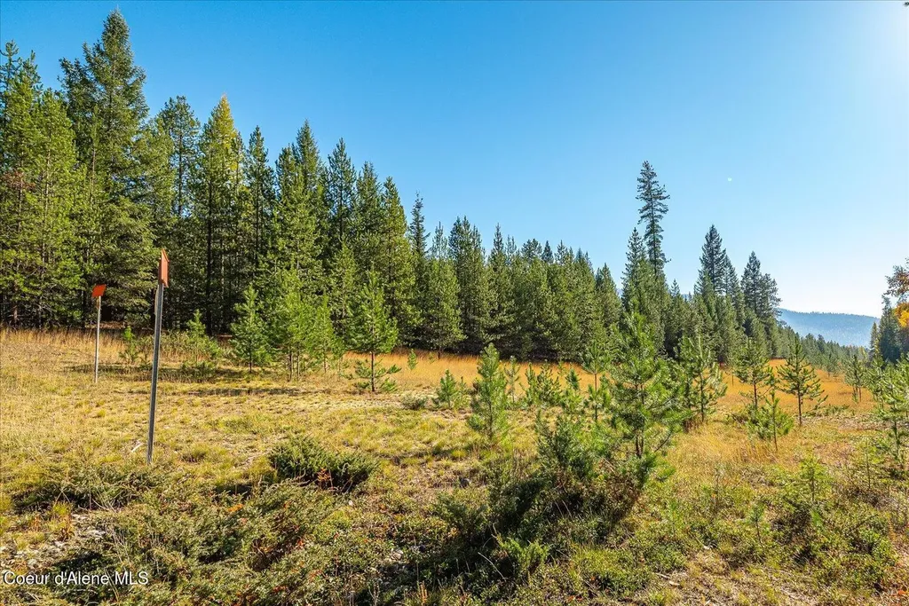 Nna N Moyie River Road Lot 3 Bonners Ferry ID 83805