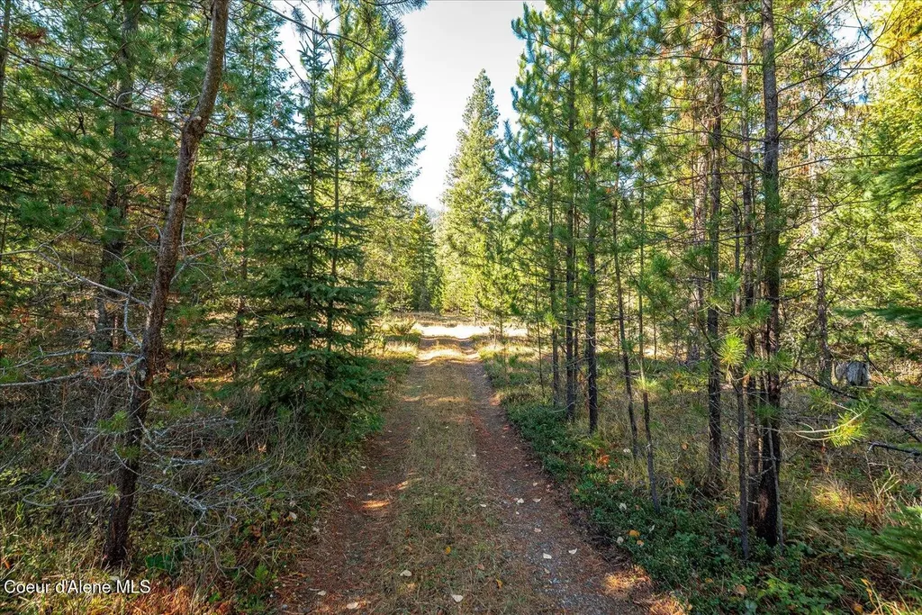 Nna N Moyie River Road Lot 3 Bonners Ferry ID 83805