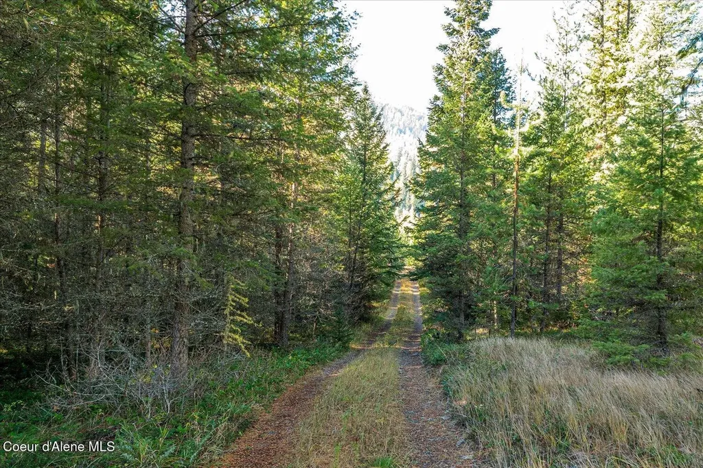 Nna N Moyie River Road Lot 3 Bonners Ferry ID 83805
