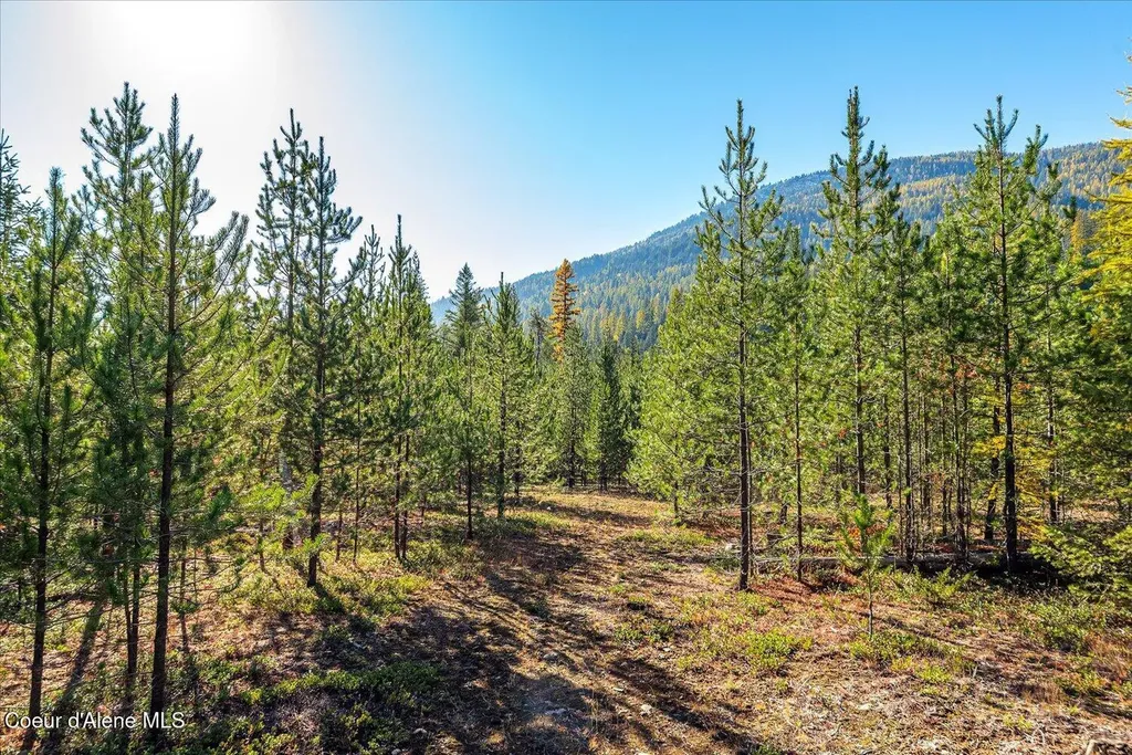 Nna N Moyie River Road Lot 3 Bonners Ferry ID 83805