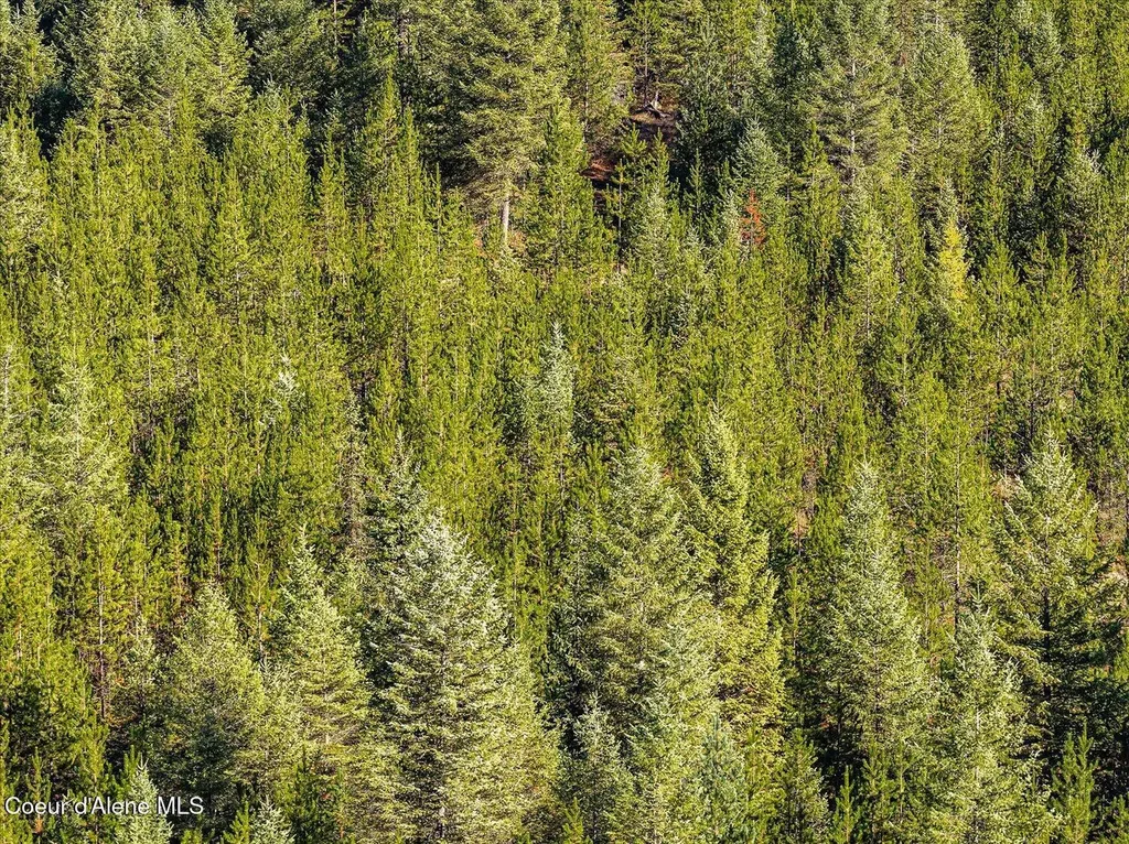Nna N Moyie River Road Lot 3 Bonners Ferry ID 83805
