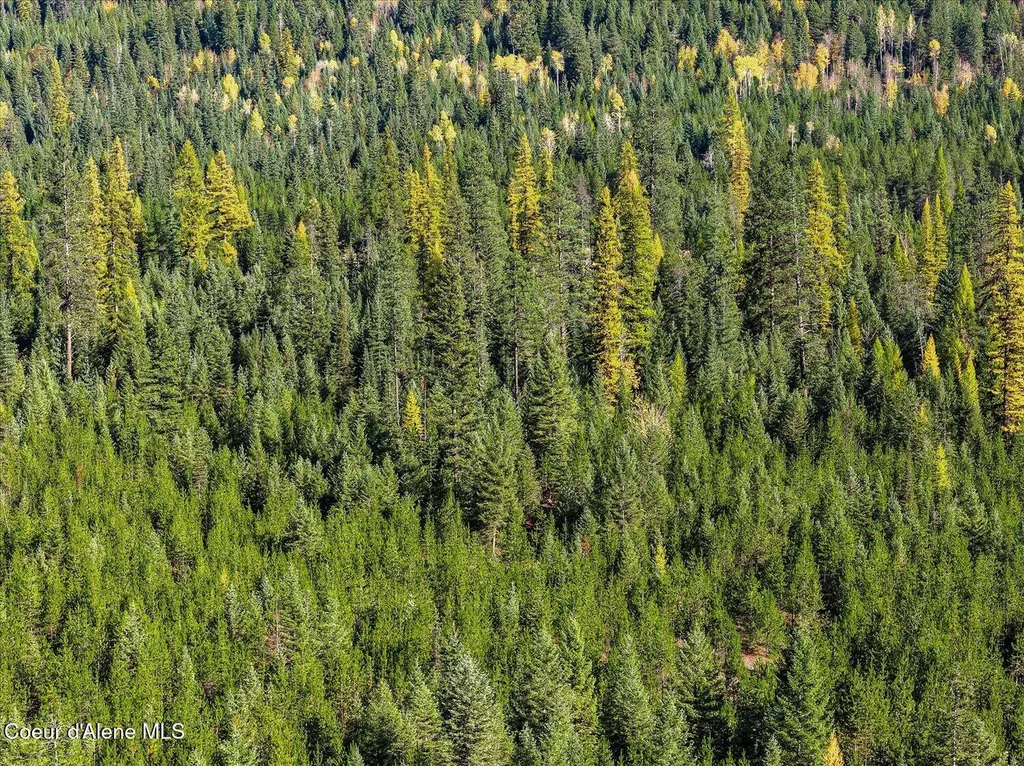 Nna N Moyie River Road Lot 3 Bonners Ferry ID 83805