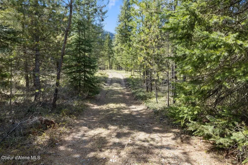 Nna N Moyie River Road Lot 3 Bonners Ferry ID 83805