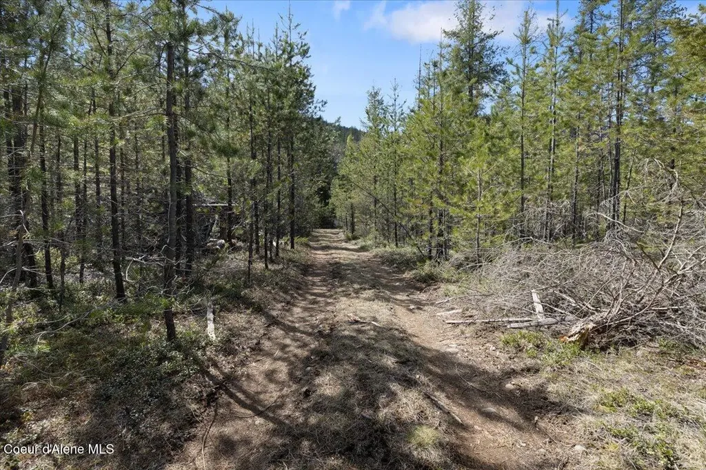 Nna N Moyie River Road Lot 3 Bonners Ferry ID 83805