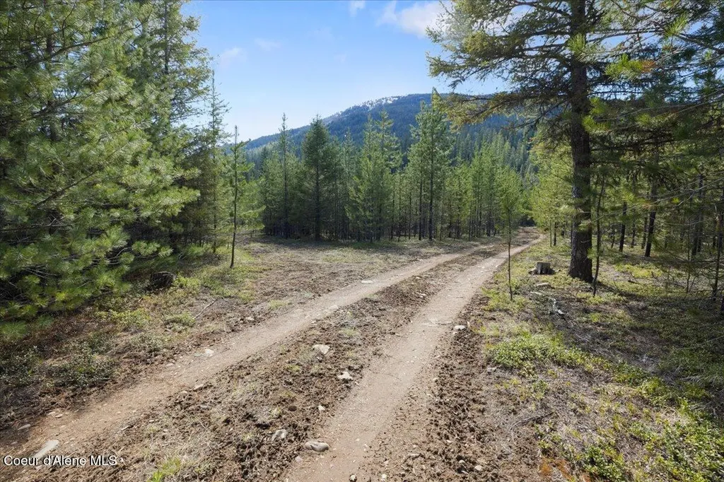 Nna N Moyie River Road Lot 3 Bonners Ferry ID 83805