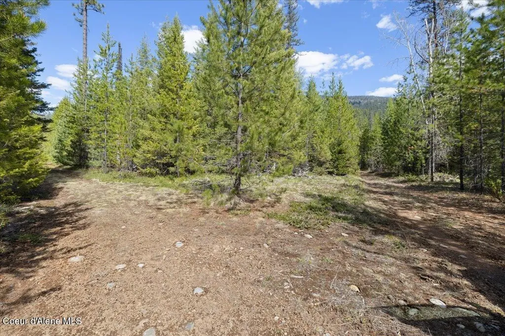 Nna N Moyie River Road Lot 3 Bonners Ferry ID 83805
