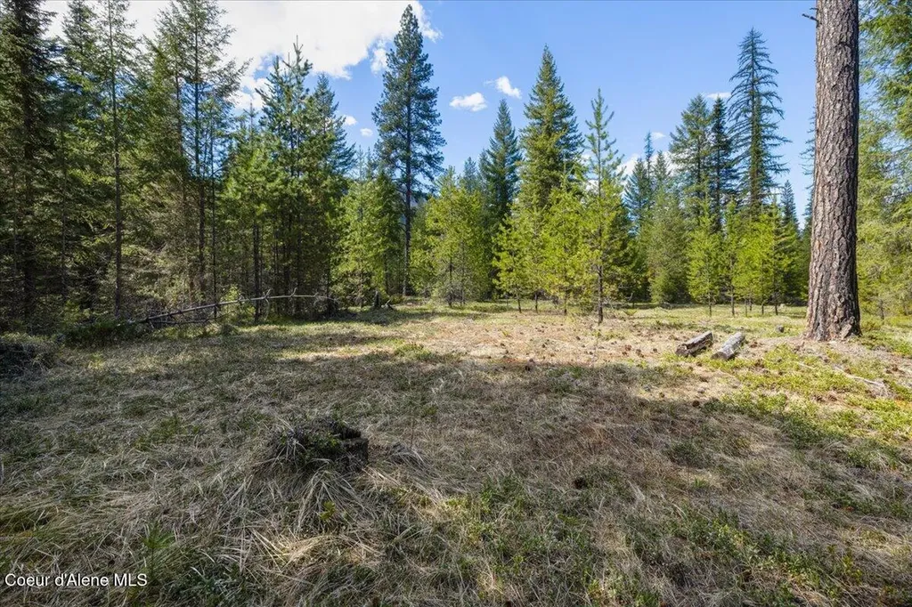 Nna N Moyie River Road Lot 3 Bonners Ferry ID 83805