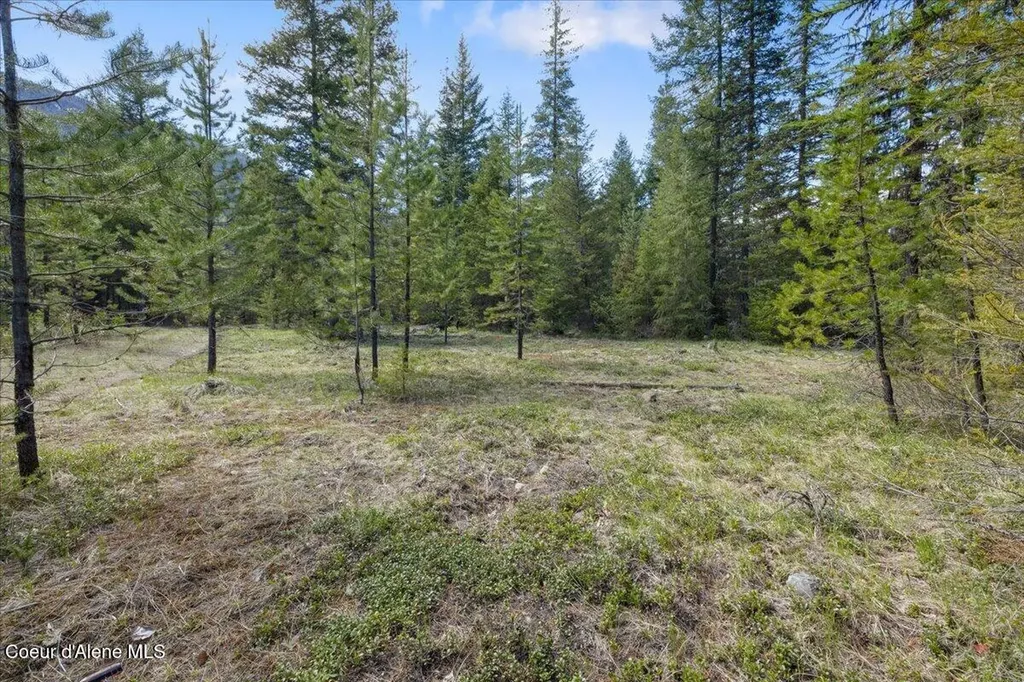 Nna N Moyie River Road Lot 3 Bonners Ferry ID 83805
