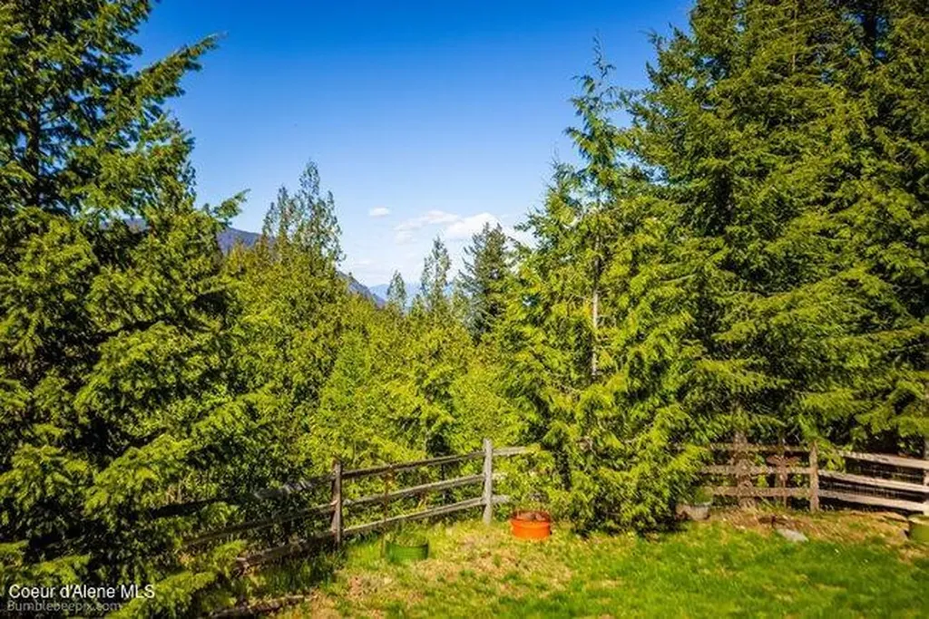 407 Spyglass Hill Road Careywood ID 83809