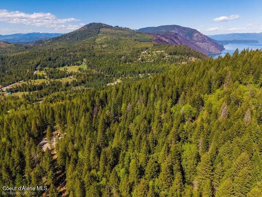 407 Spyglass Hill Road Careywood ID 83809