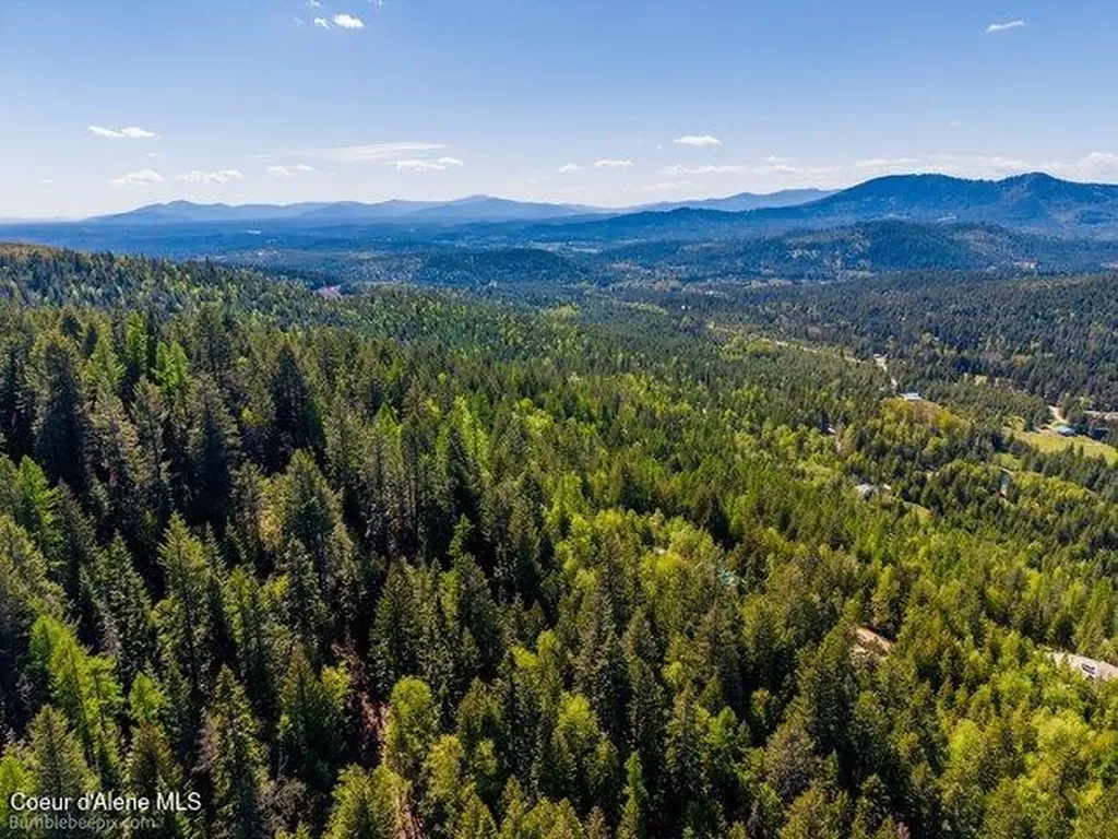 407 Spyglass Hill Road Careywood ID 83809