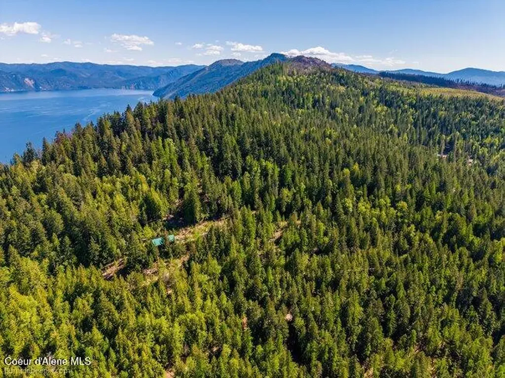 407 Spyglass Hill Road Careywood ID 83809