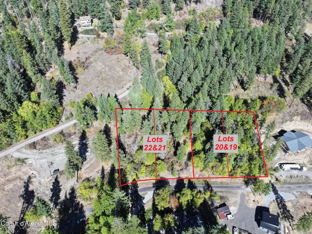 L19 & L20 N Terrace Drive Bayview ID 83803