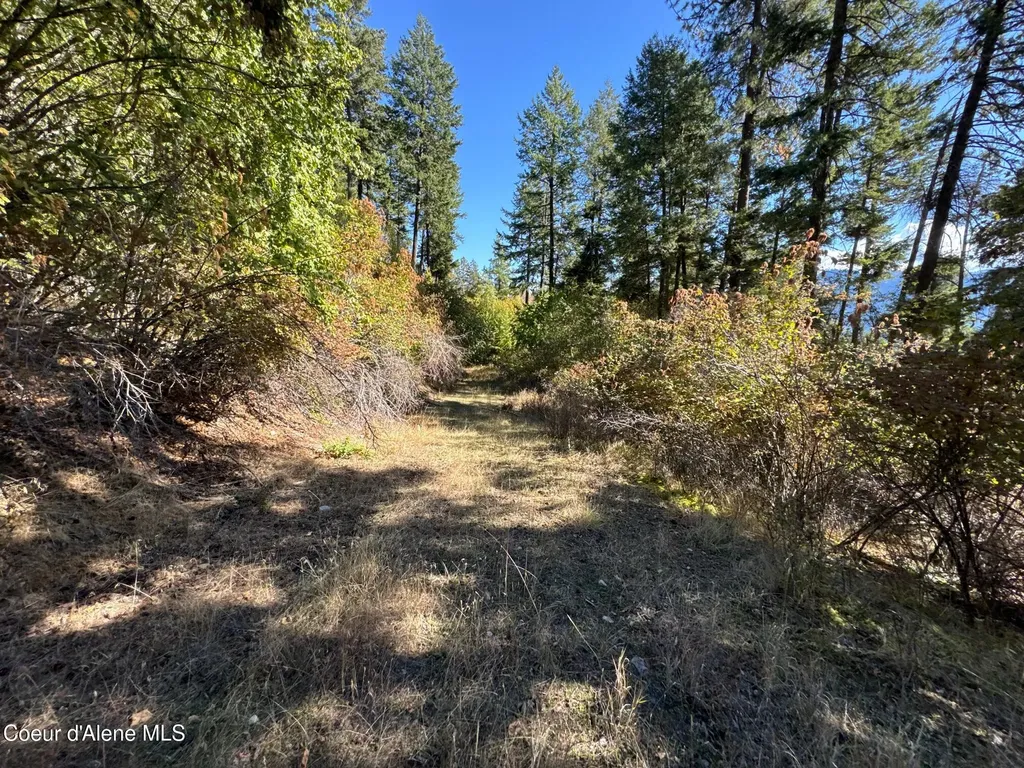L19 & L20 N Terrace Drive Bayview ID 83803