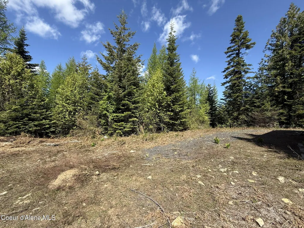 371 Upriver View Drive Fernwood ID 83830