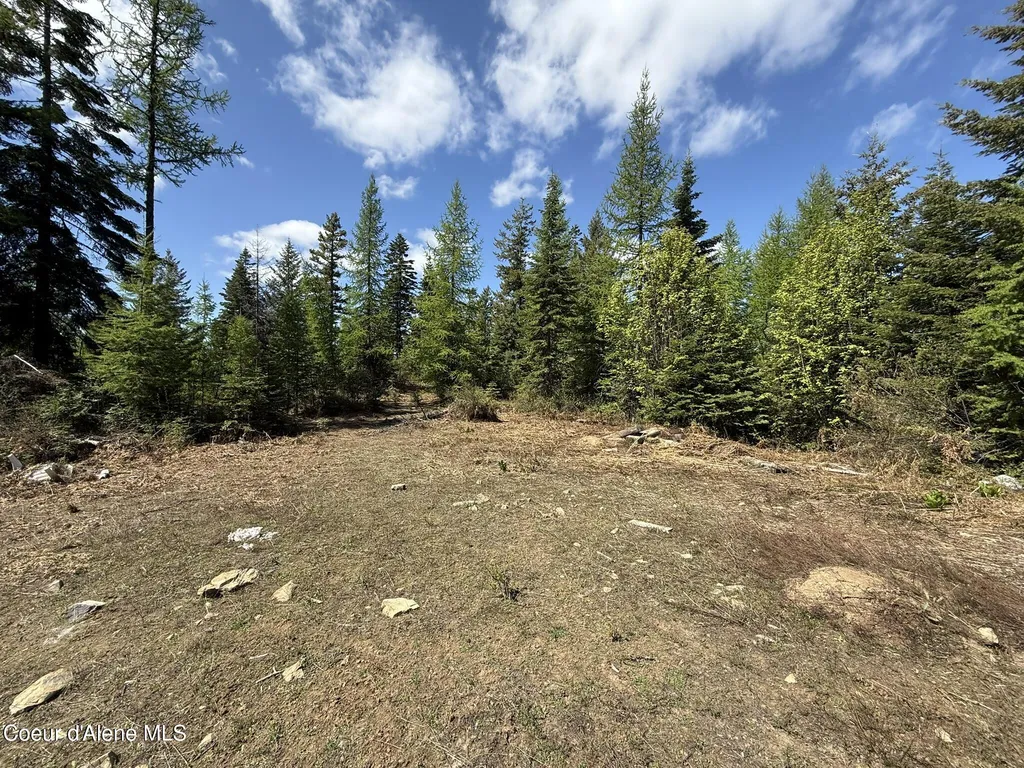 371 Upriver View Drive Fernwood ID 83830