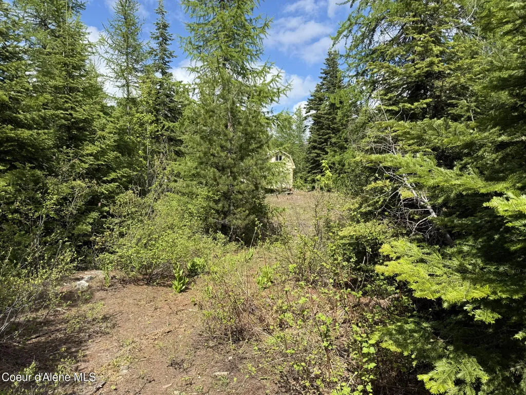 371 Upriver View Drive Fernwood ID 83830