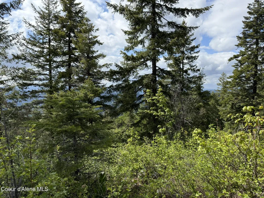 371 Upriver View Drive Fernwood ID 83830