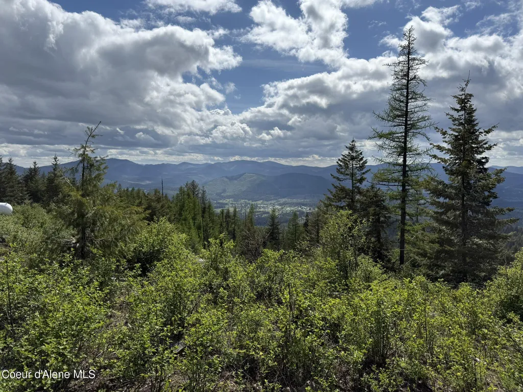 371 Upriver View Drive Fernwood ID 83830