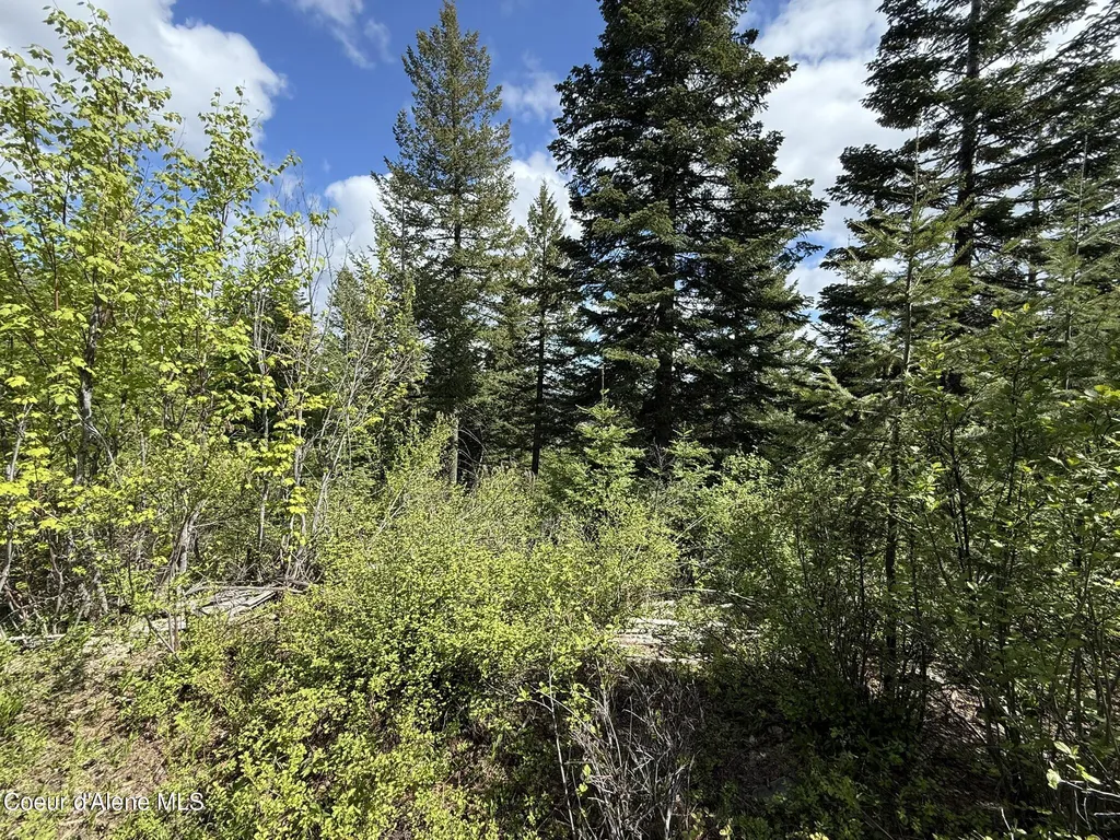 371 Upriver View Drive Fernwood ID 83830