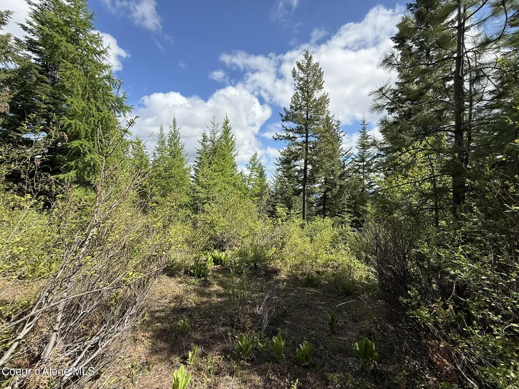 371 Upriver View Drive Fernwood ID 83830