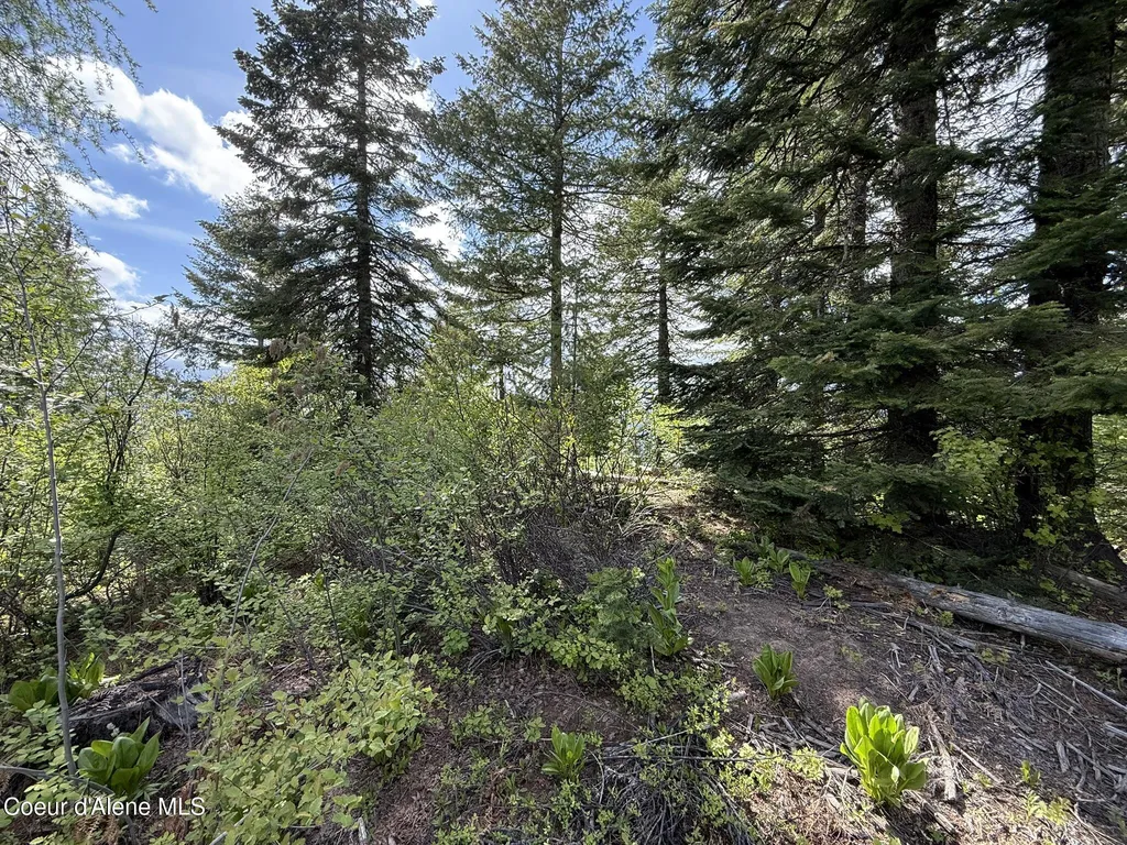 371 Upriver View Drive Fernwood ID 83830