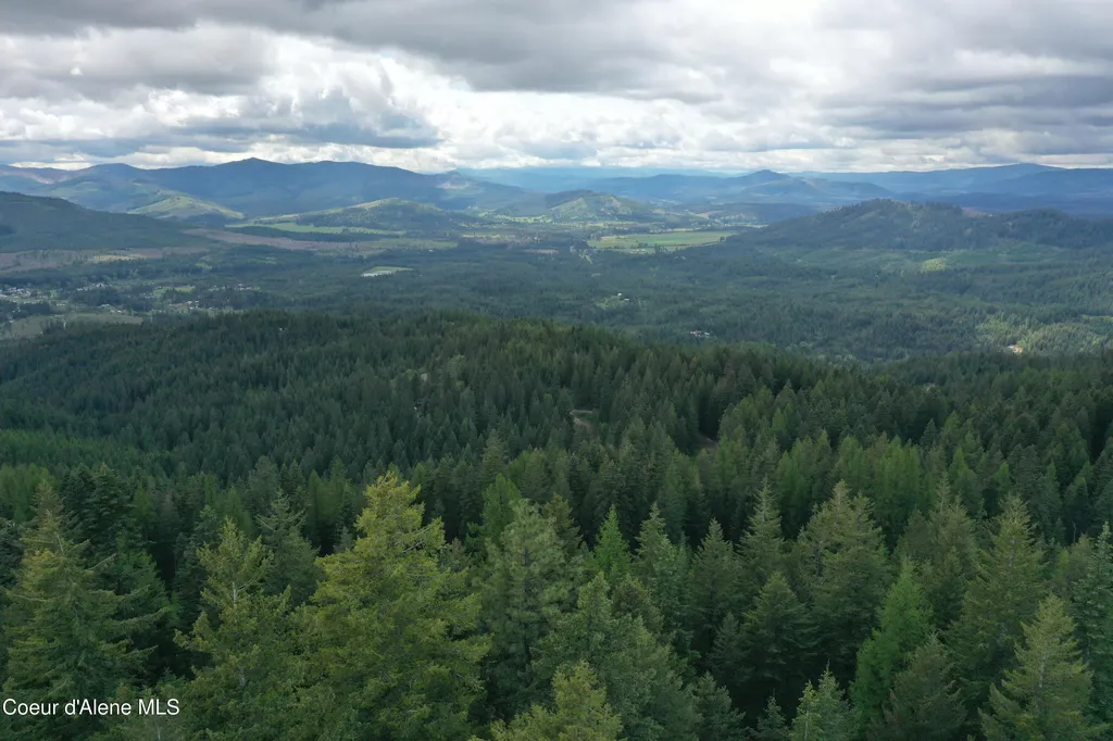 371 Upriver View Drive Fernwood ID 83830