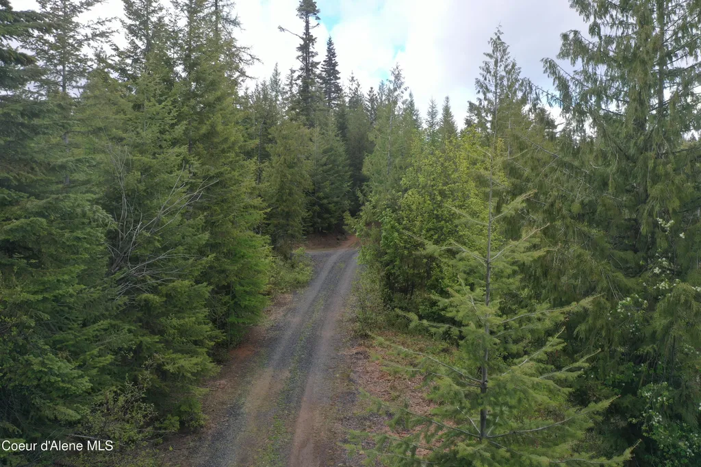 371 Upriver View Drive Fernwood ID 83830