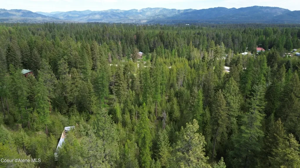 Womack Road Lot 15 Oldtown ID 83822