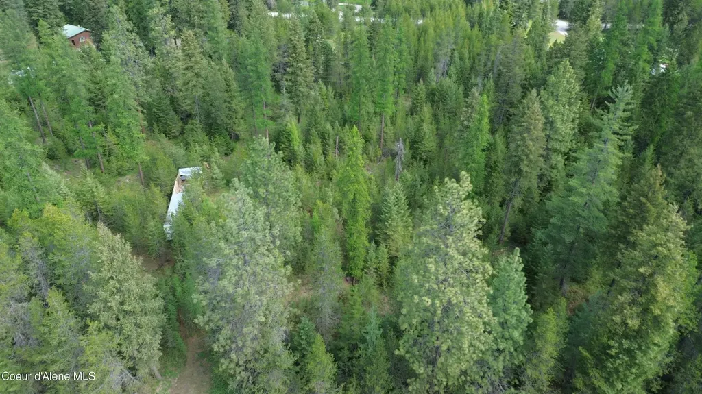 Womack Road Lot 15 Oldtown ID 83822