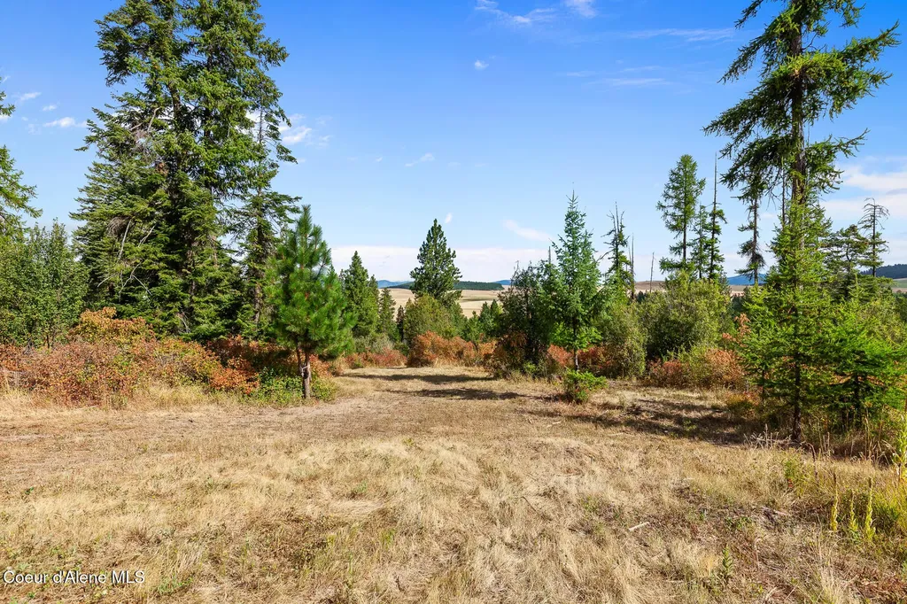 7316 W Radford Lane Worley ID 83876