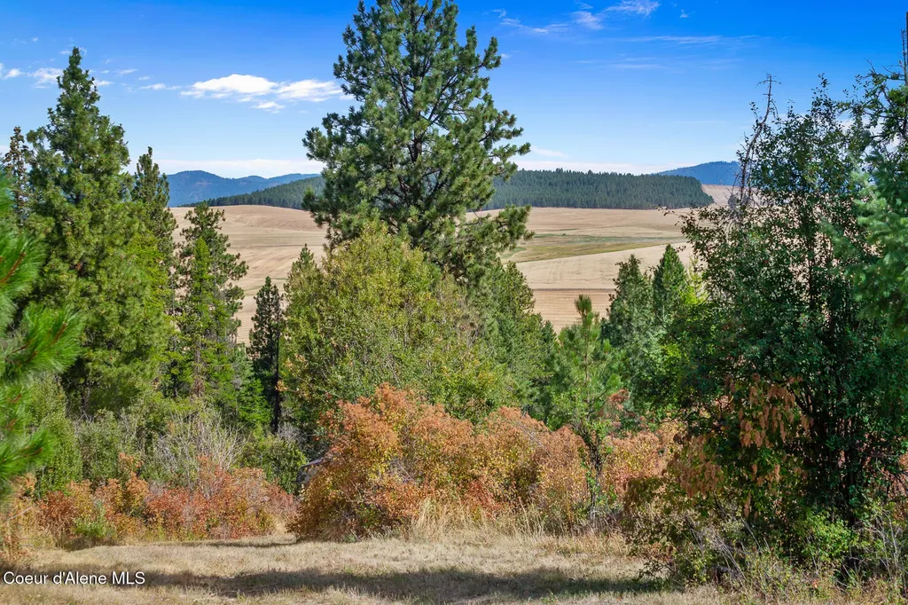 7316 W Radford Lane Worley ID 83876