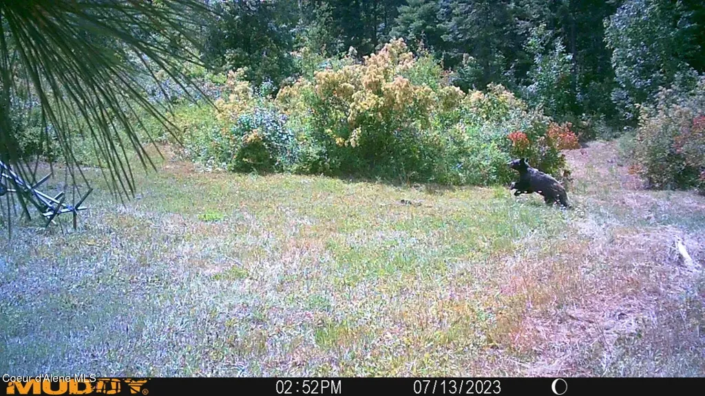 7316 W Radford Lane Worley ID 83876
