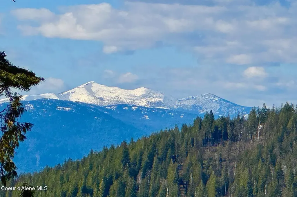 101 Green Monarch Lane Sandpoint ID 83864