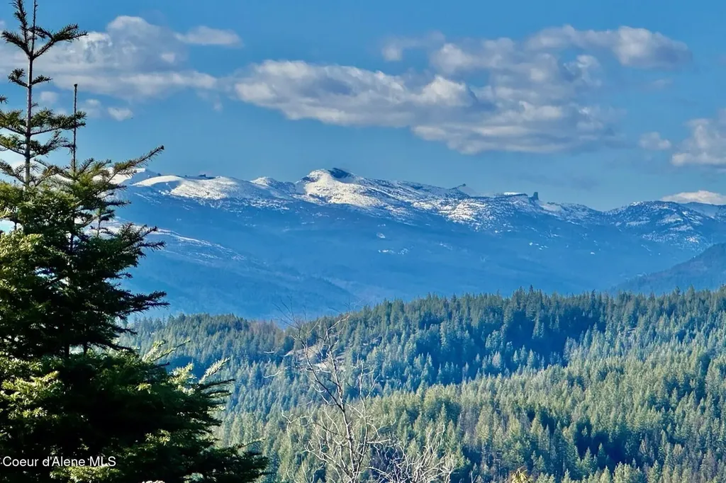 101 Green Monarch Lane Sandpoint ID 83864
